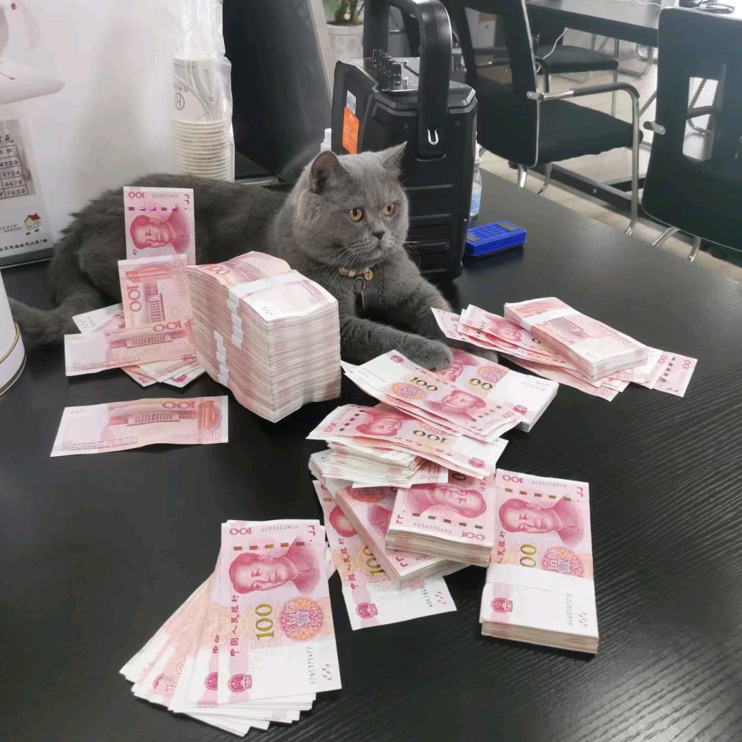 🐉এ᭄勇王ꦿ🦅 直前꧔ꦿ້໌