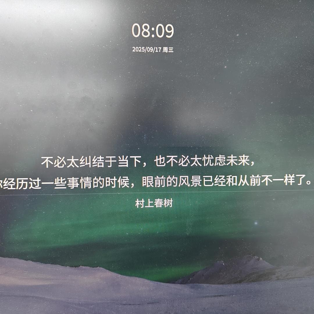 风中赏景