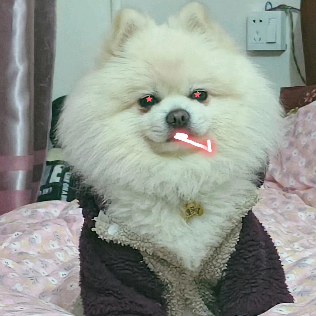 请叫我影宝