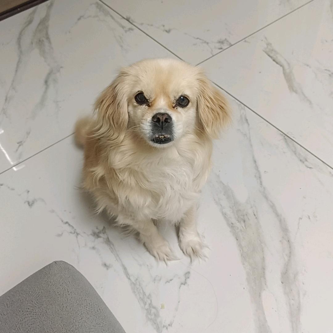 安欣