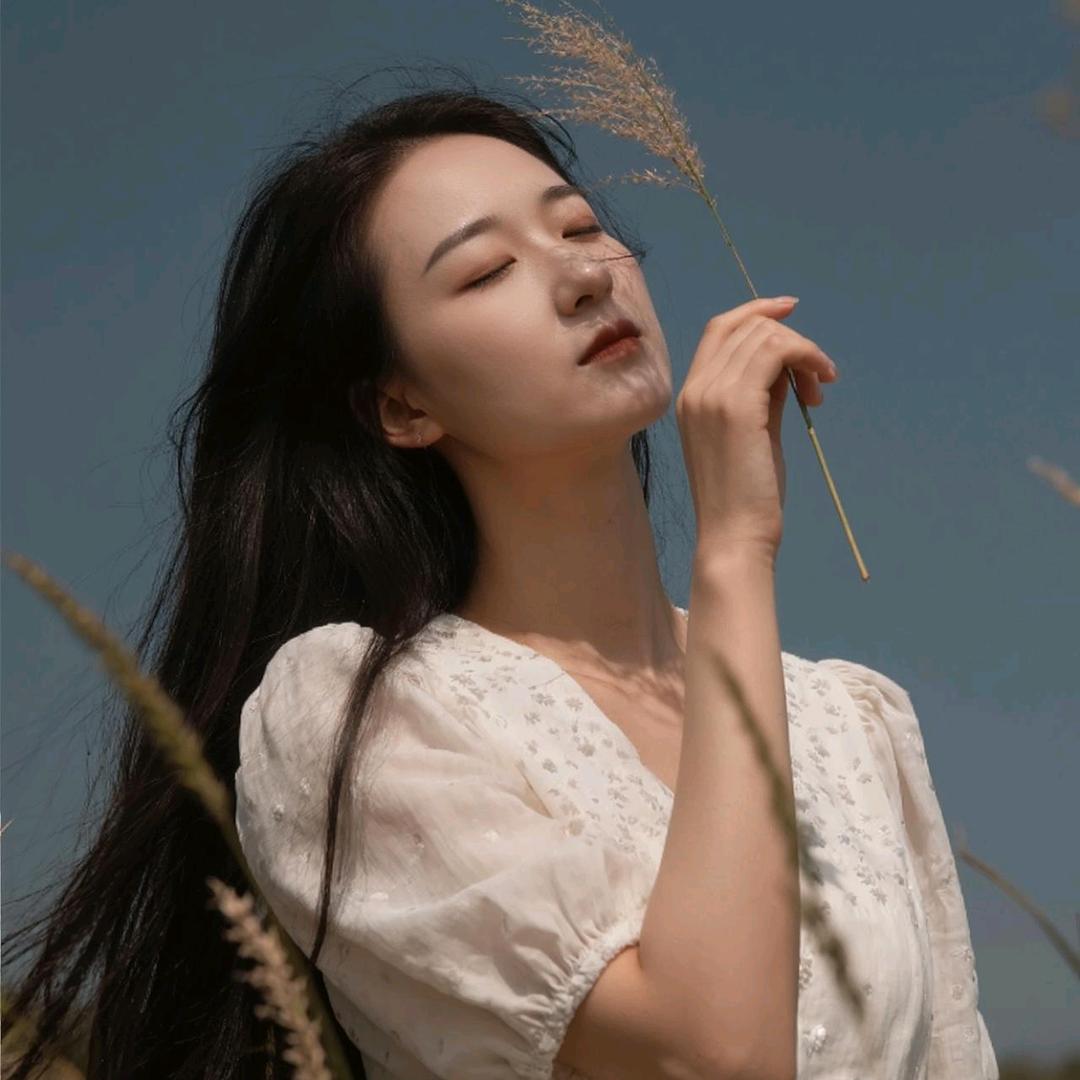 枯木