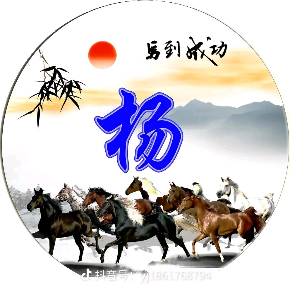 名杨天下