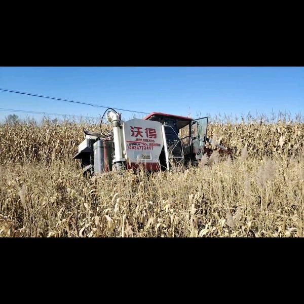 90后玩农机小哥（收割）