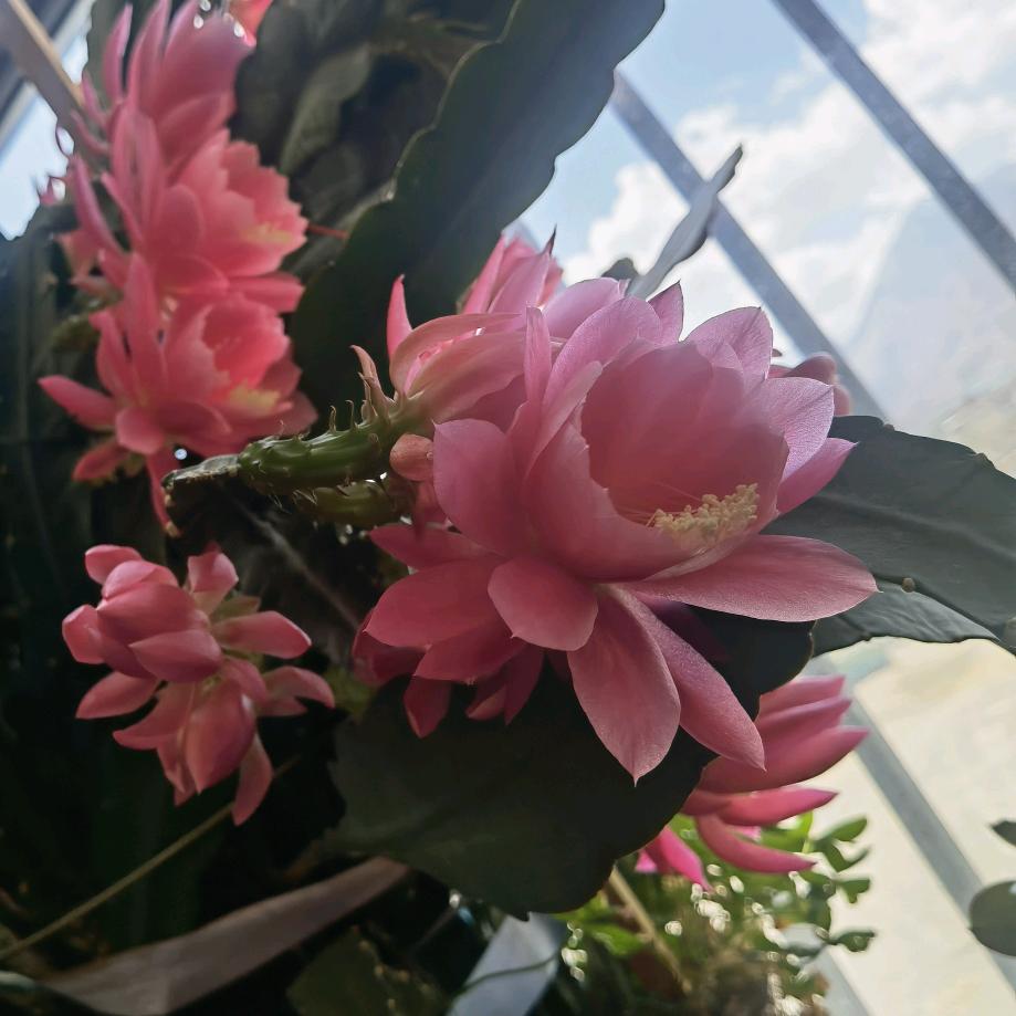 坚持的力量914131