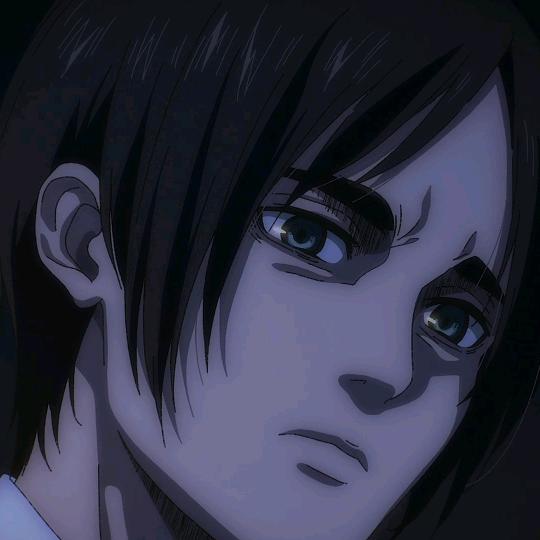 一只鸽子