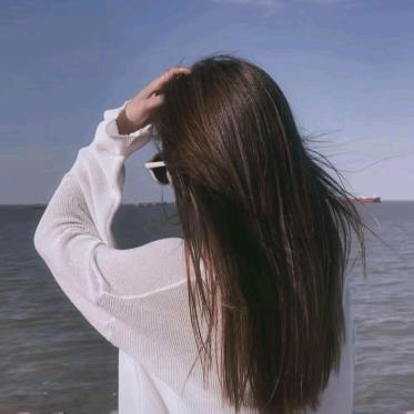 向日葵🌻🌻🌻