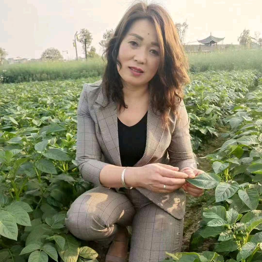 为情而活