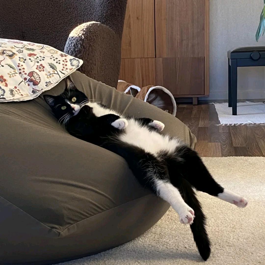 步犁