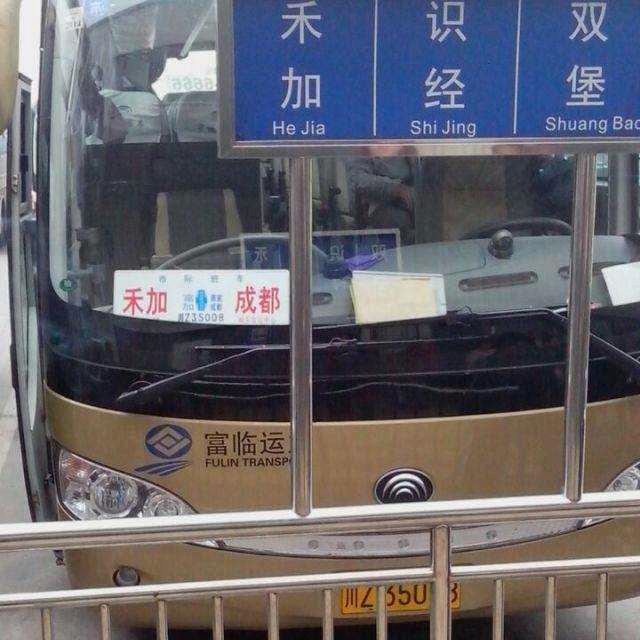 客车专家—宇通