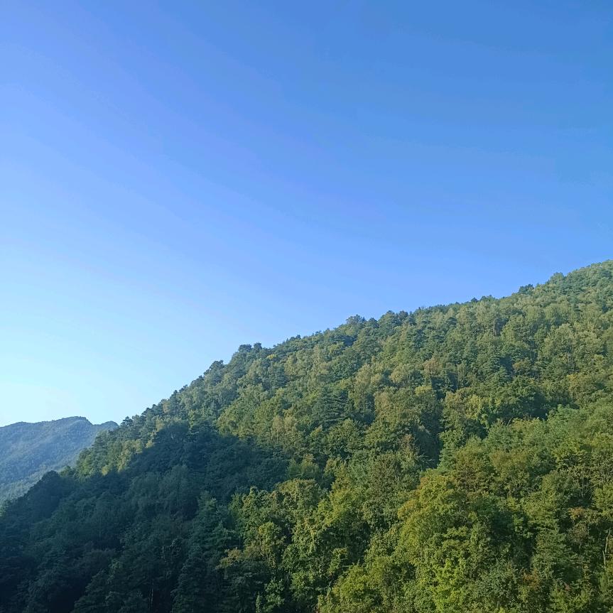 🐒💫♥ 往后余生♥🐒💫