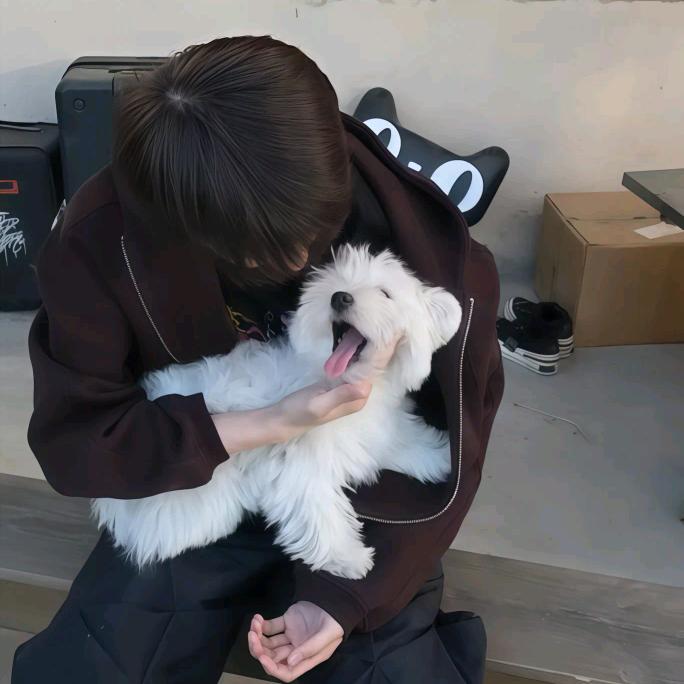 vivi