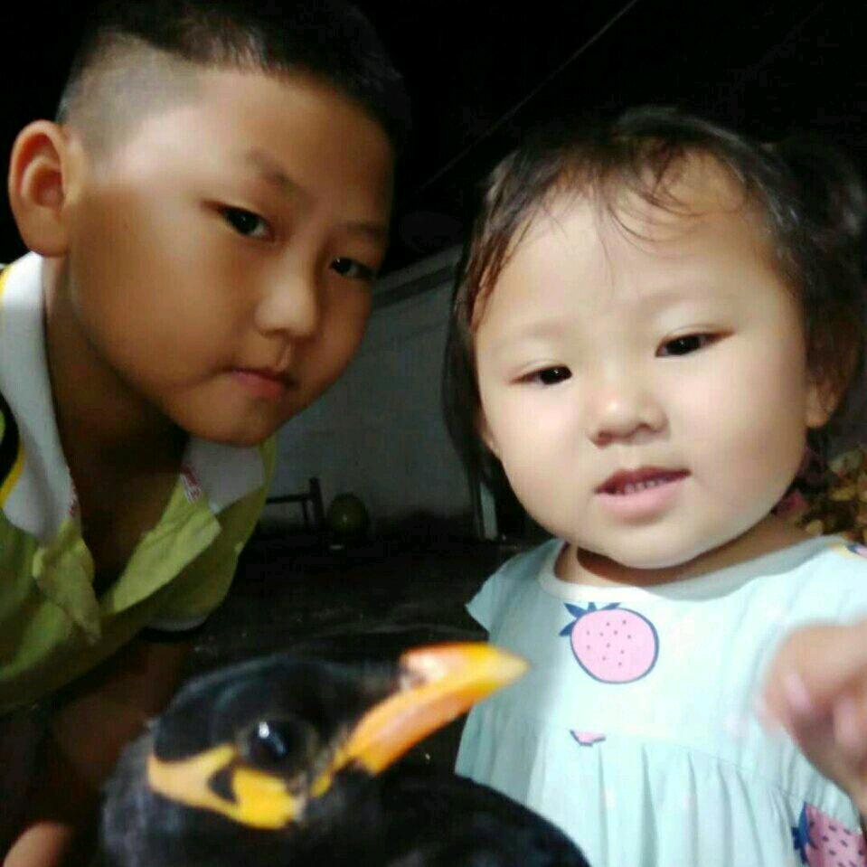 林