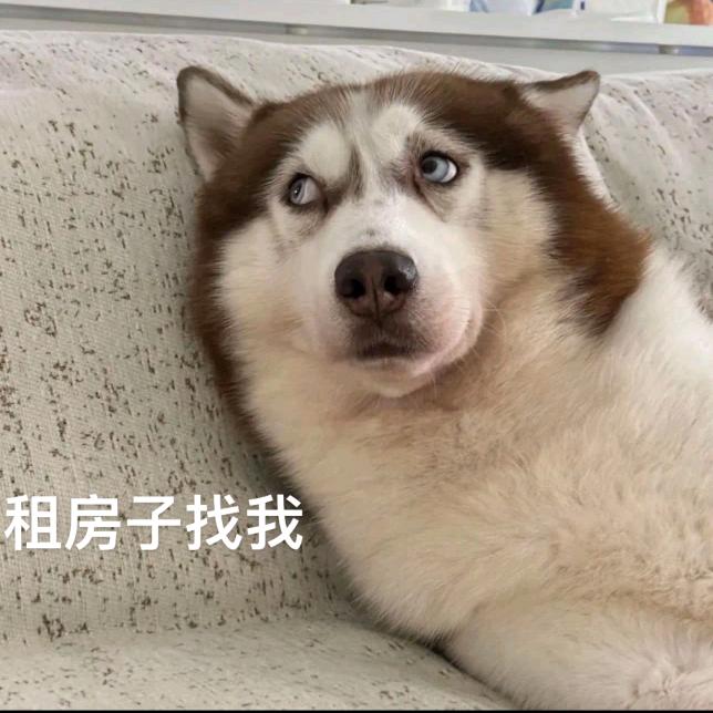 昆明租房扛把子小刀