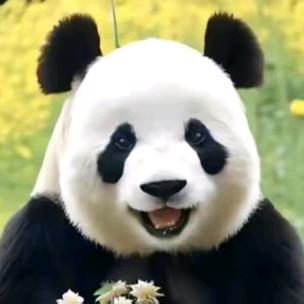 上海学车找周哥