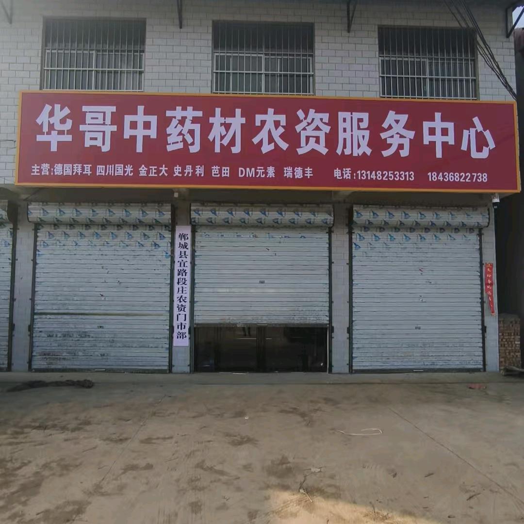 华仔种植