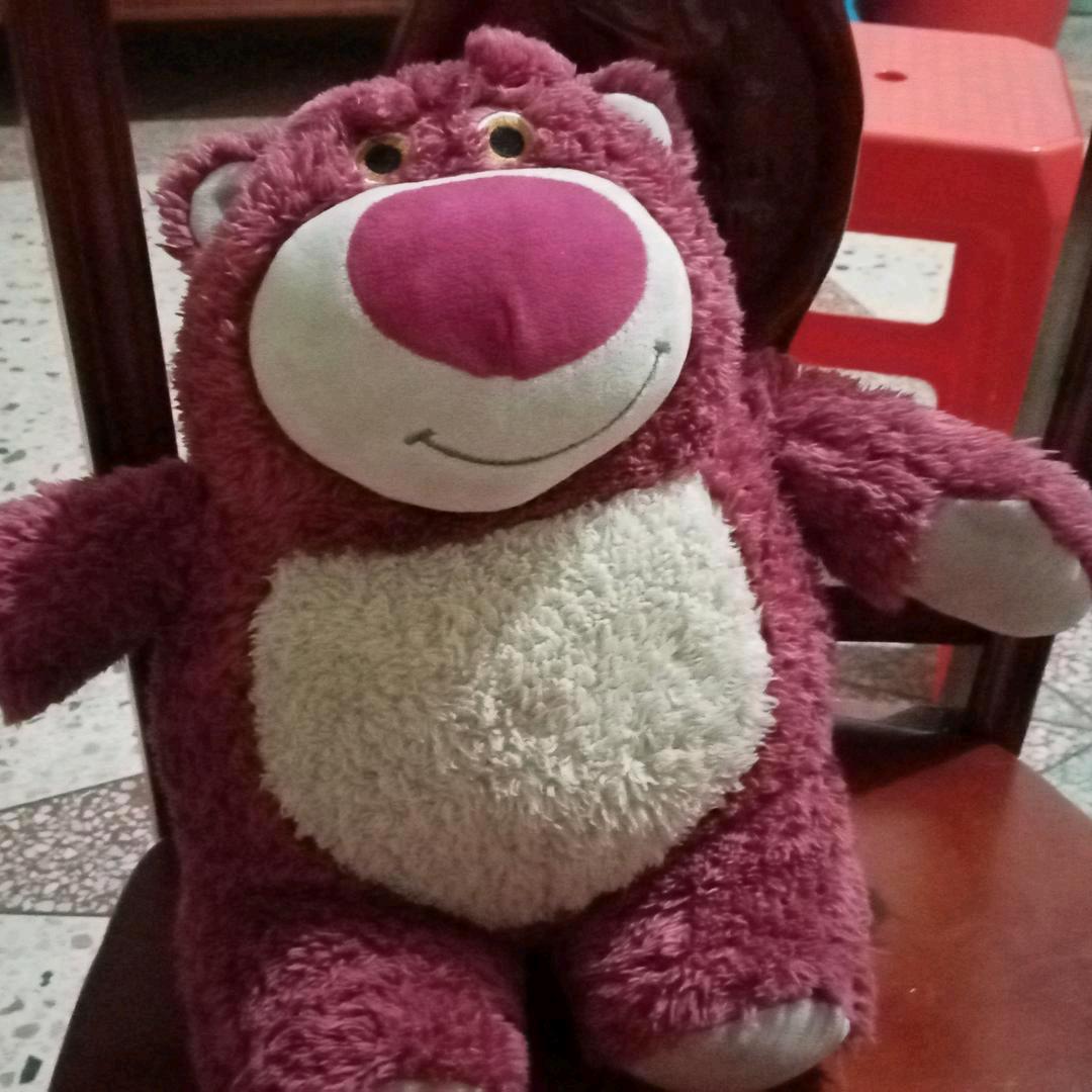可爱的小熊熊●ｖ●