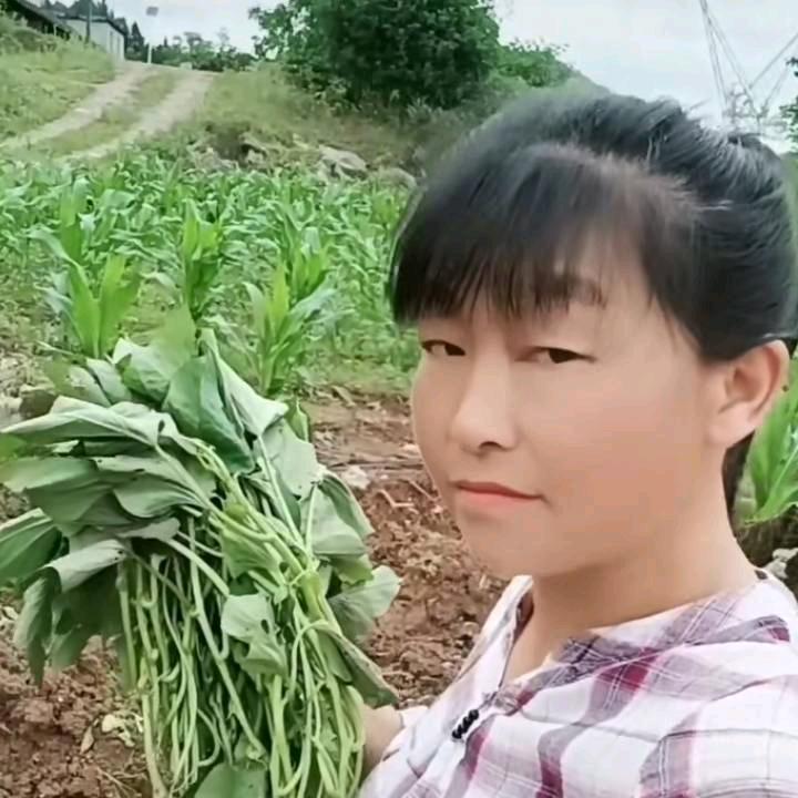 赵幺妹