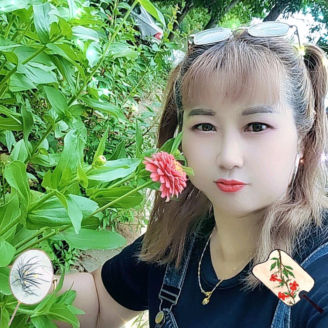霸气莲儿