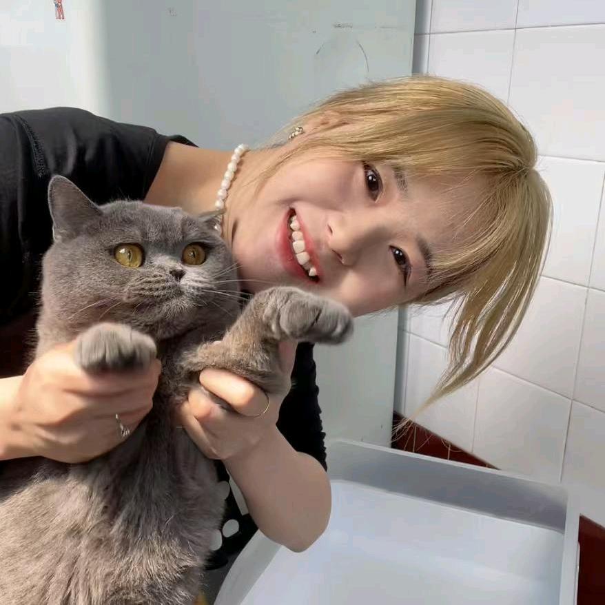 爱财务的发光鱼