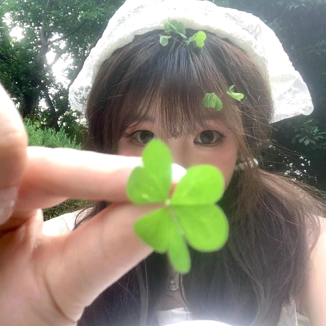 木桃雾LuL林