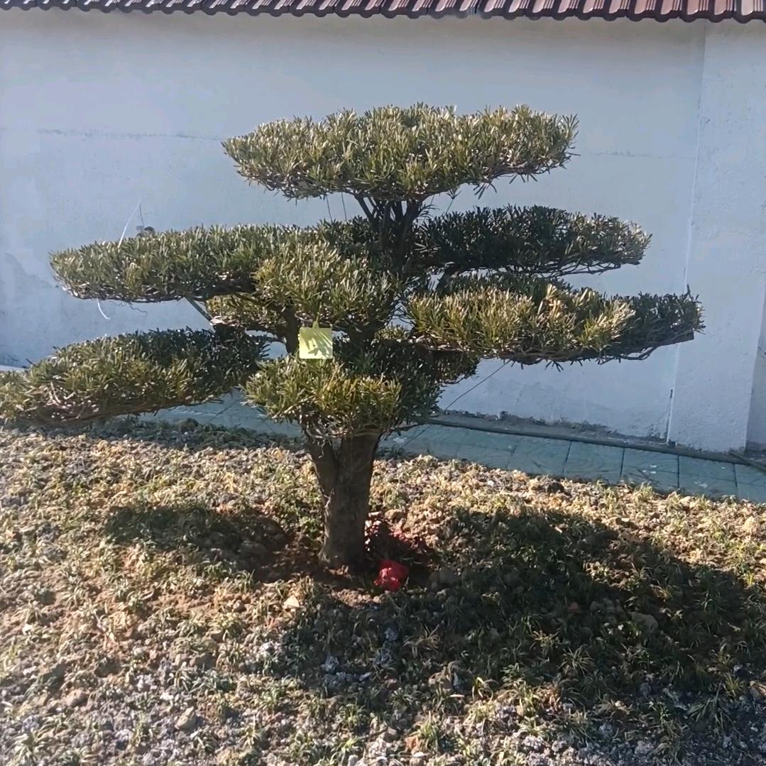 实话实说，看今朝！