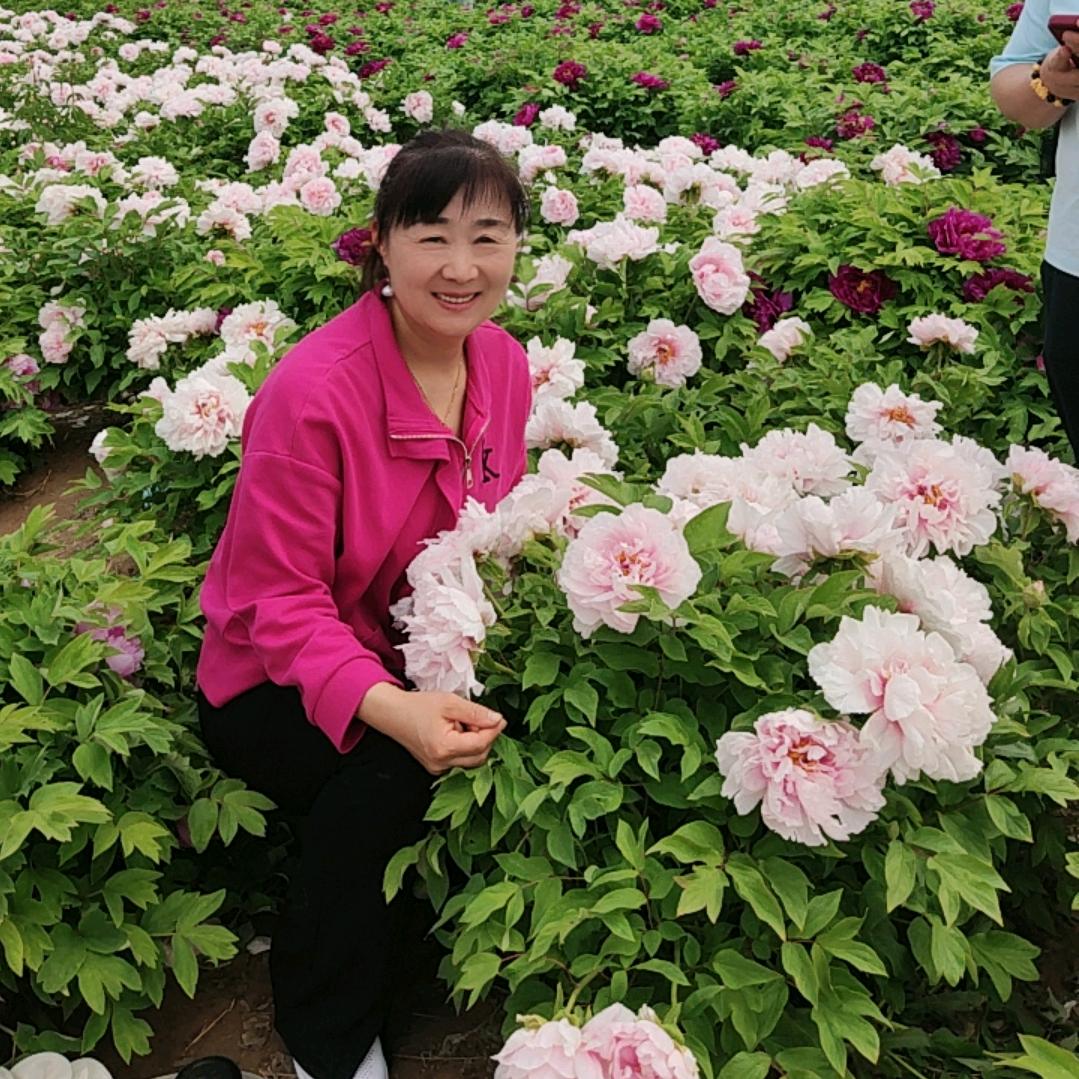 用户月朦胧