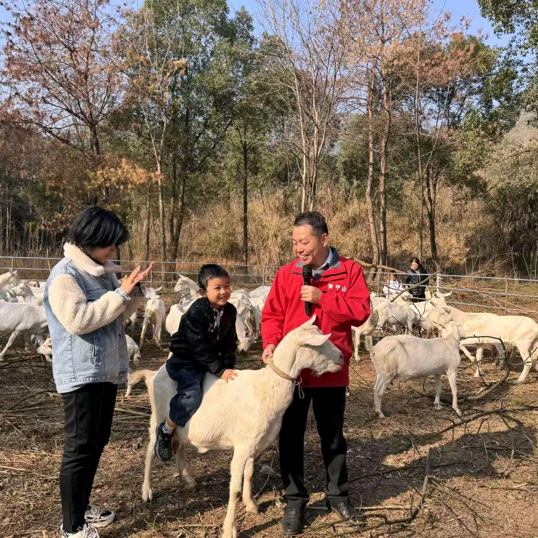 黄甲山鲜羊奶小李