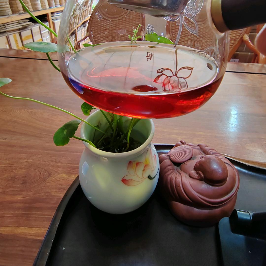 茶颜—云南宏润发