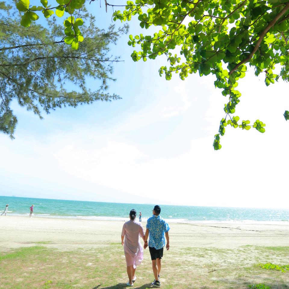 五哥8506，（拒绝连赞）