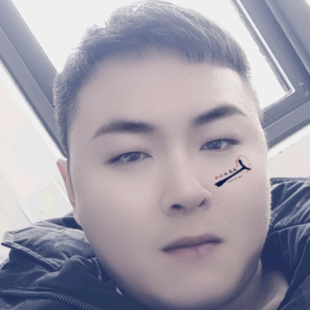 辰龙