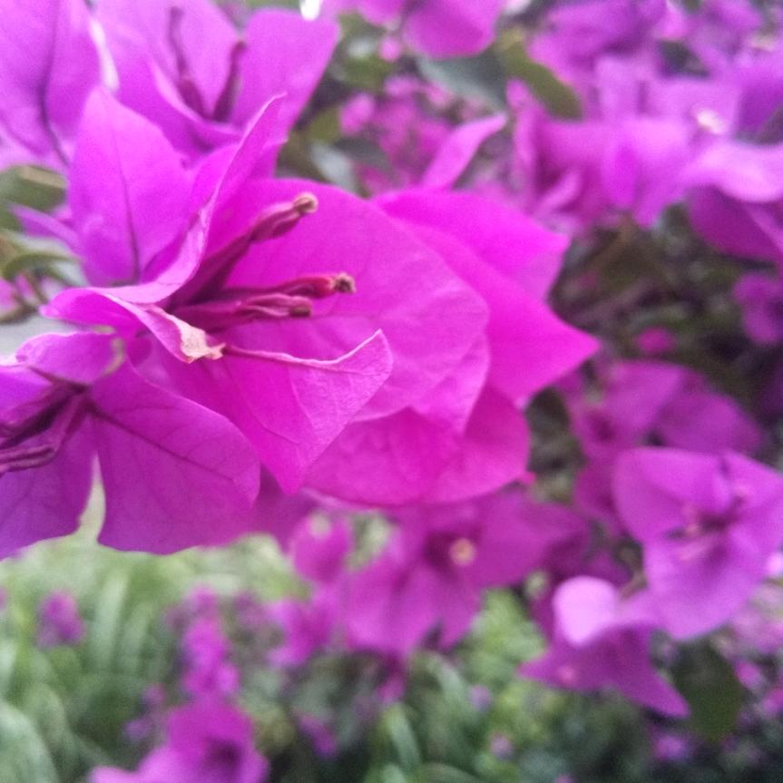 爱情海“平”🌻