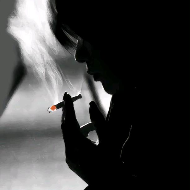 @ᝰꪝ ꫀ ꫛ 文•⚘