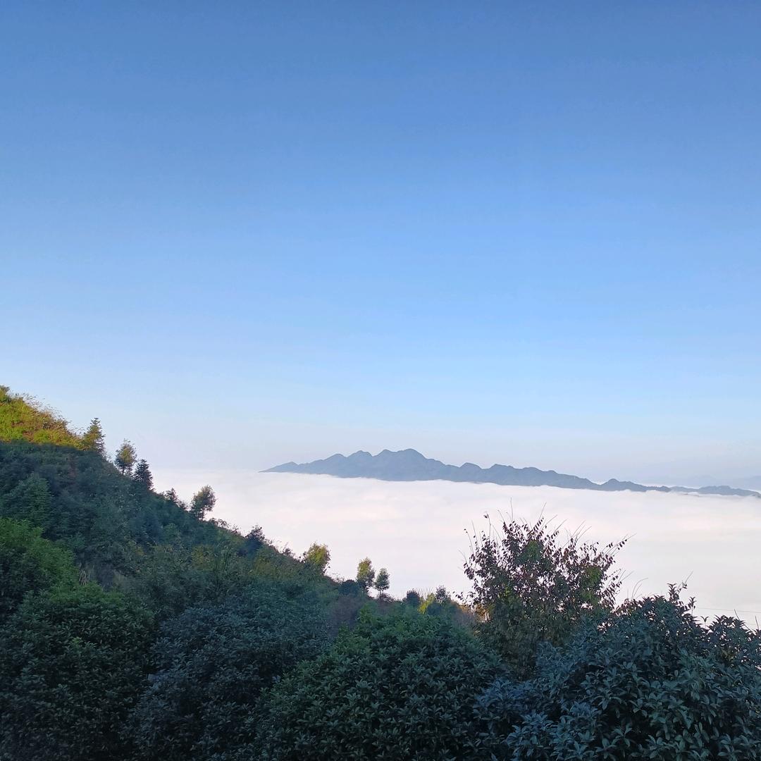 歆宝（天子山庄）