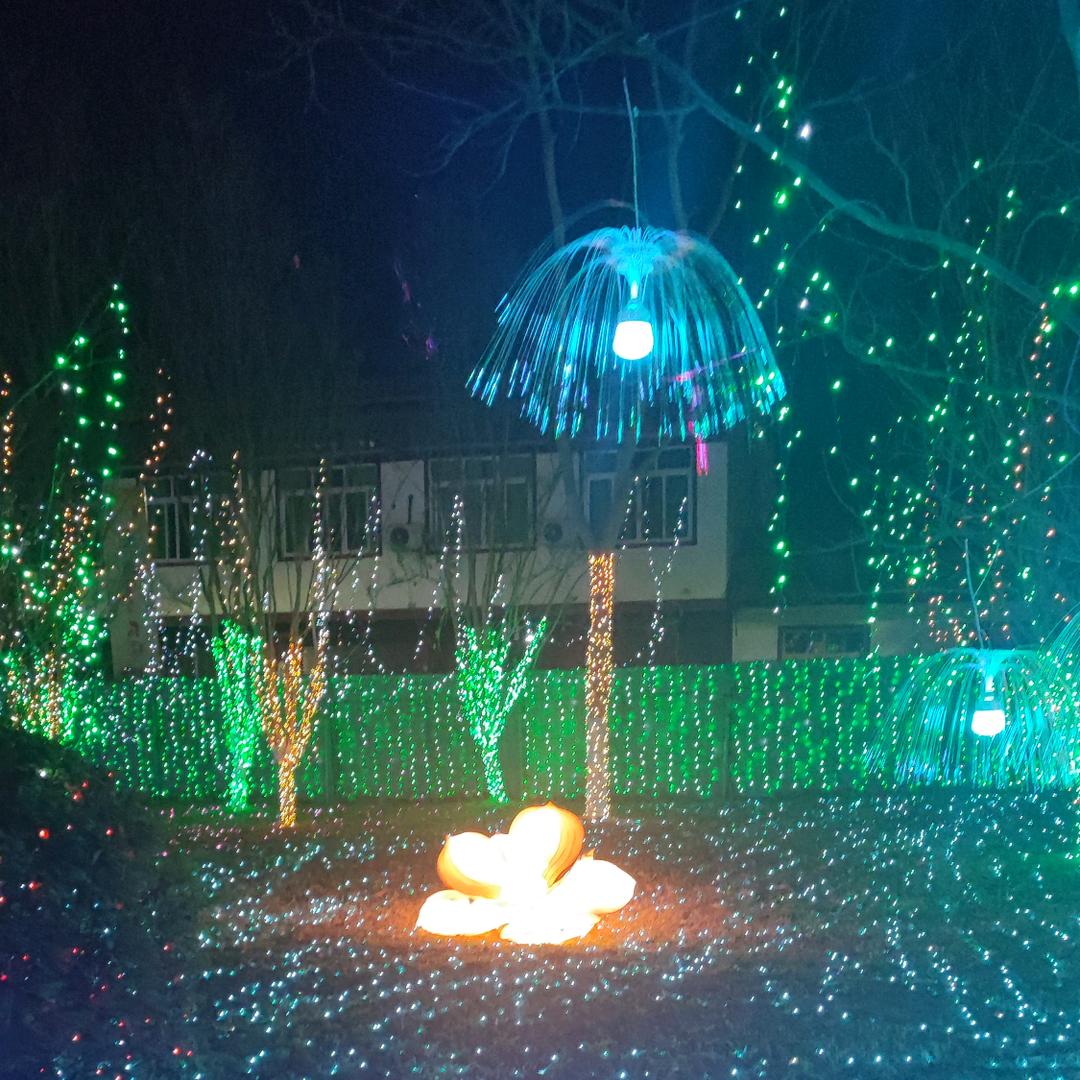 随心
