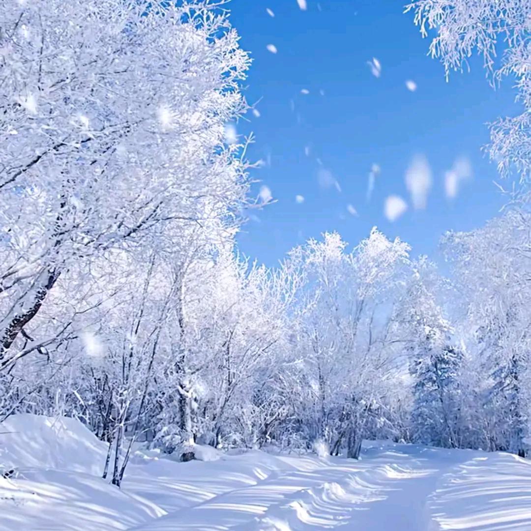 落雪