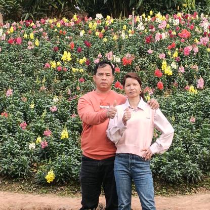 正新轮胎满街跑