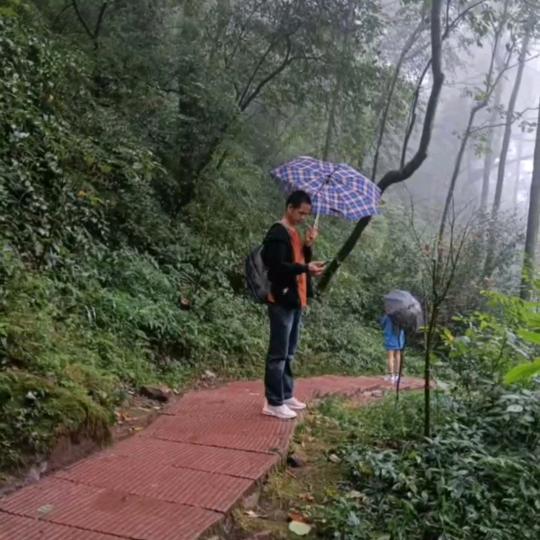 （讠～西～早)