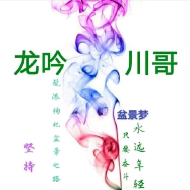 龙吟川哥盆景艺术