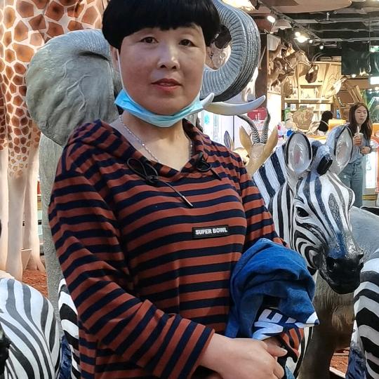 杨家沟路口娟子