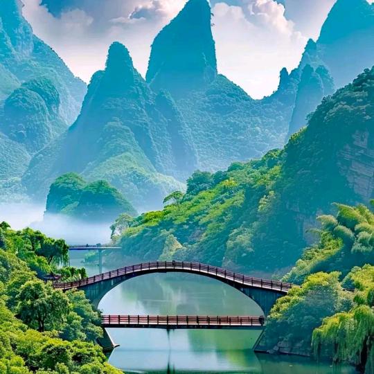 龙鑫
