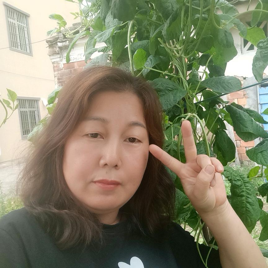 小珍珍