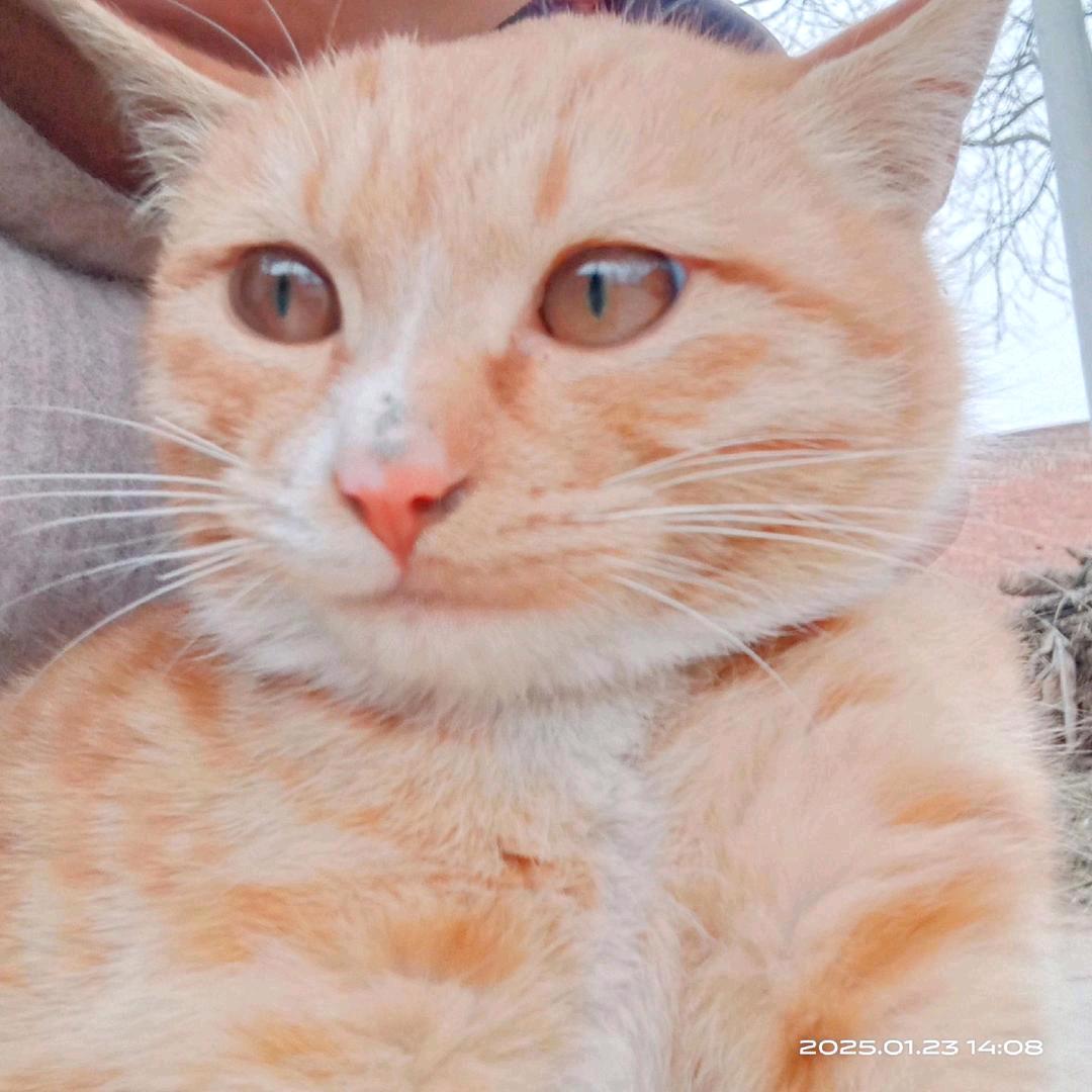 榆林谢谢小可爱