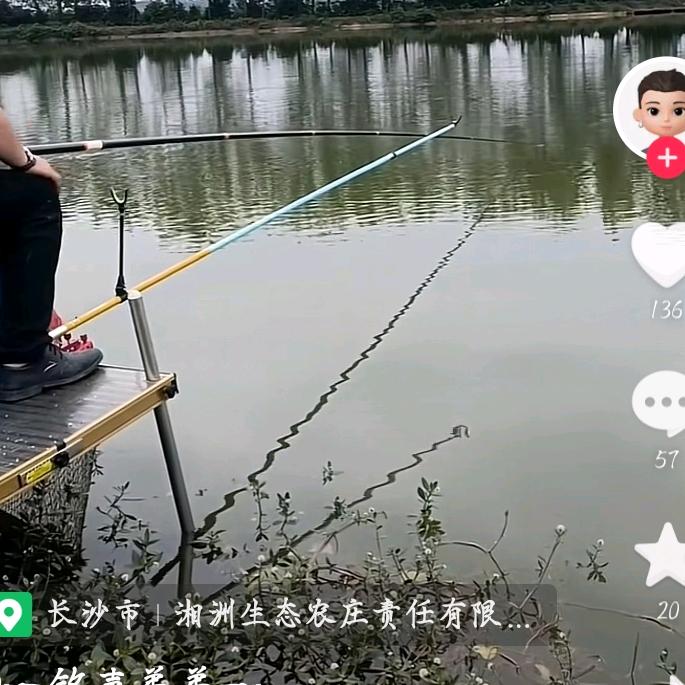 沐沐钓场