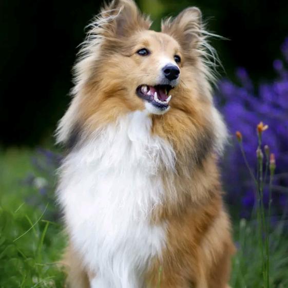 风雨无阻向前冲