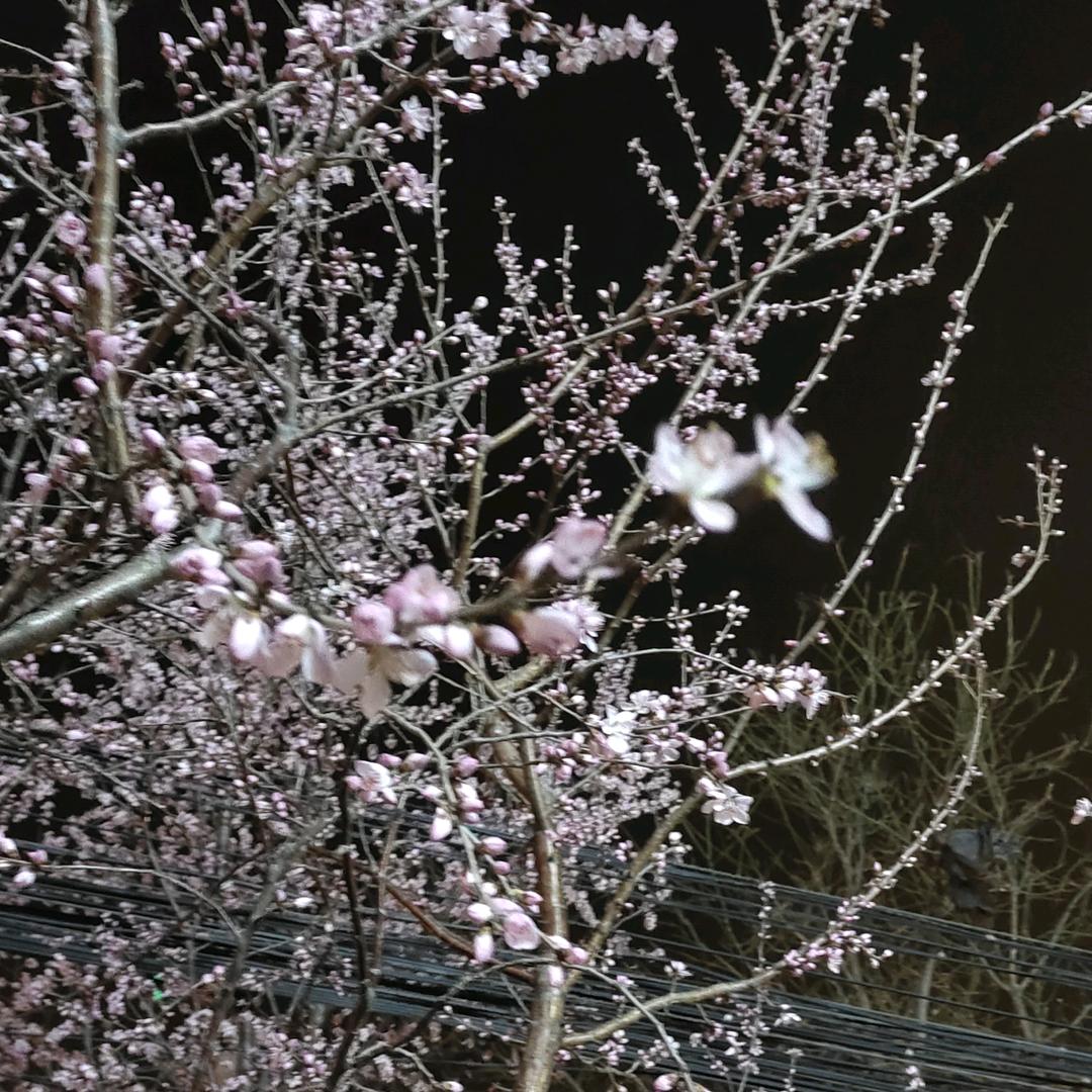 水晶小火柴🥰( ｡• 👅 •｡｀)