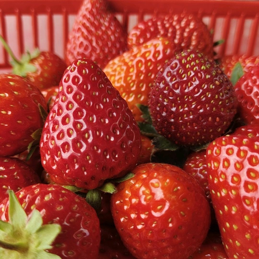 🐥飛李不可💍