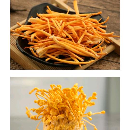 做梦