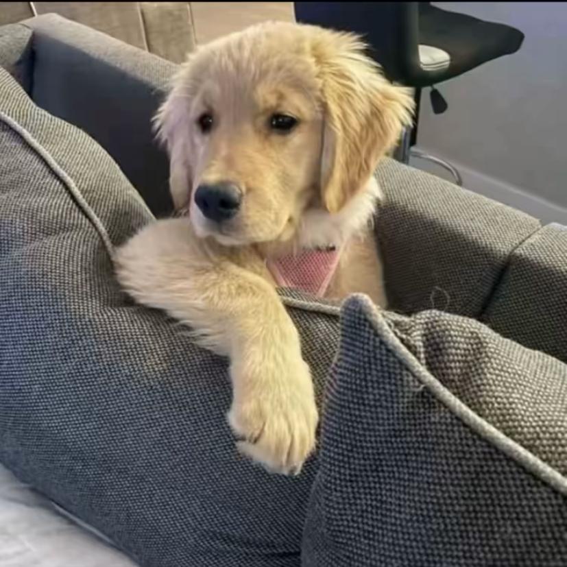 烛光照亮了晚餐