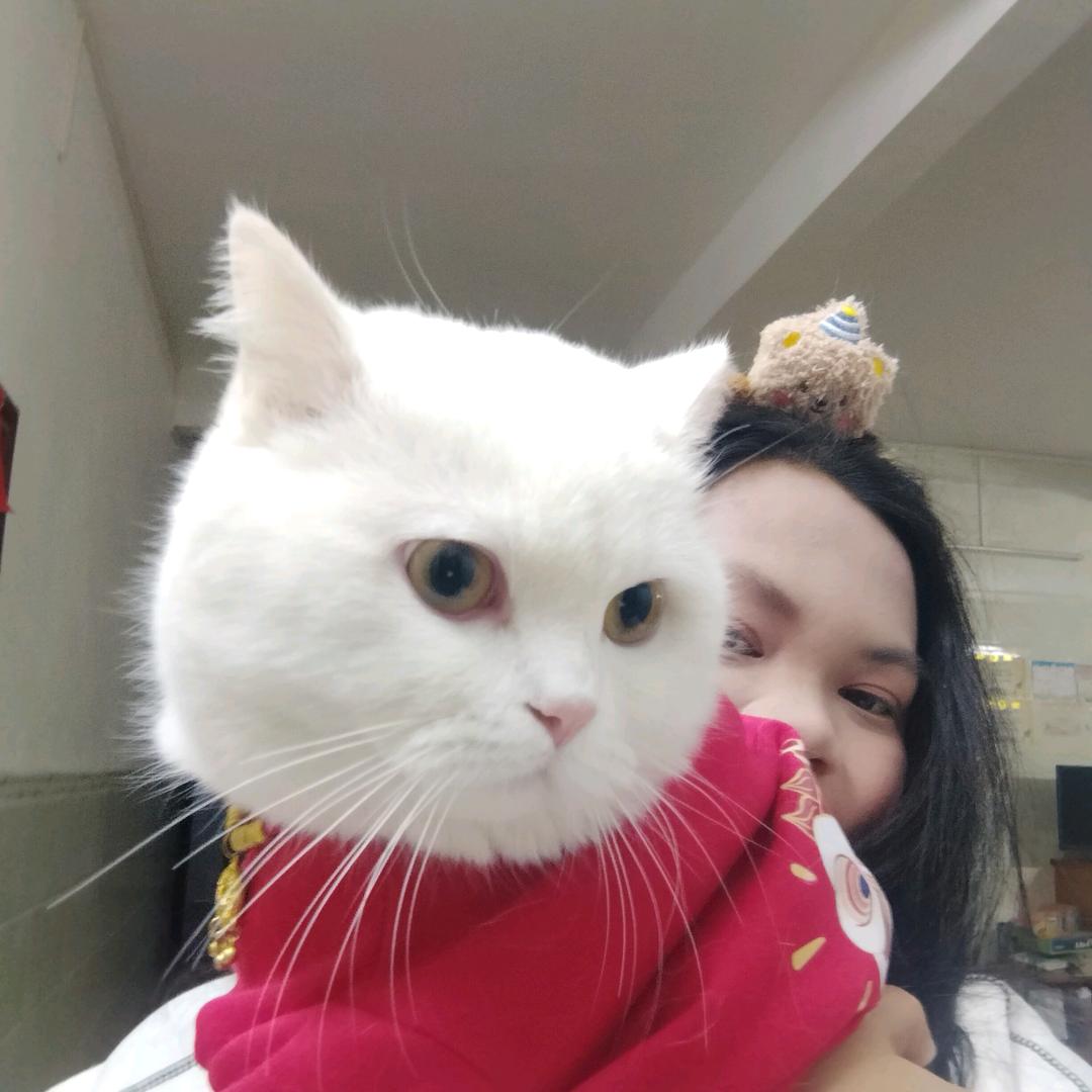 大七🐱¹¹¹⁸
