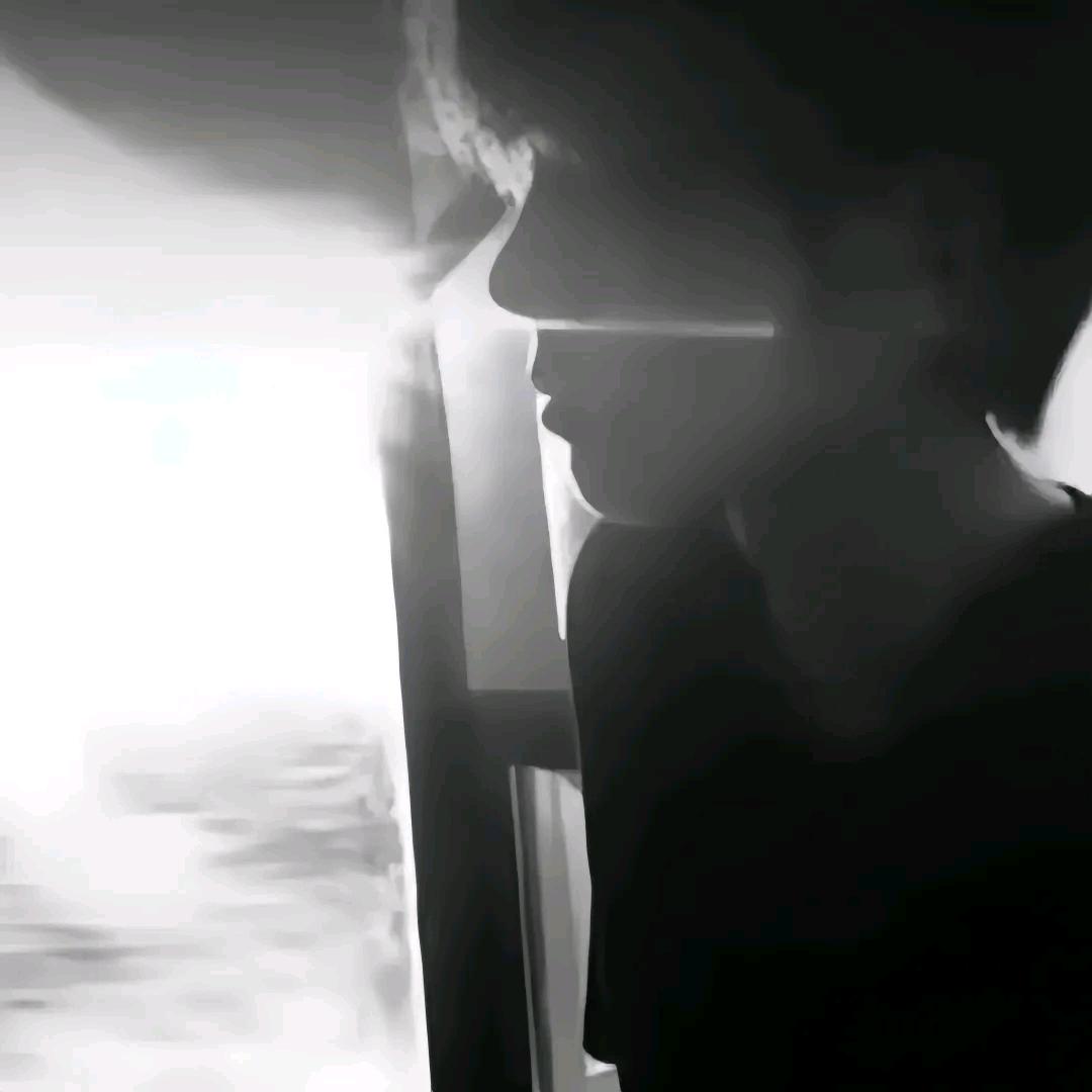 波浪海苔